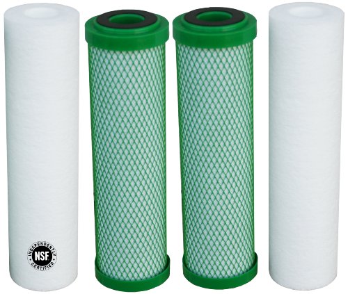 Watts Premier 560017 Two Stage Green Carbon Annual Replacement Filter Pack